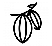 Какао